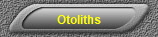 Otoliths