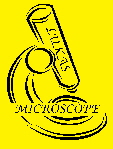 Lukas Logo Yellow