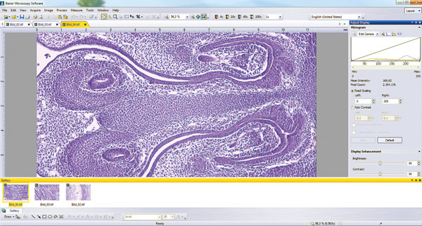 Basler_microscopy_software