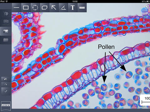 Labscope screen3